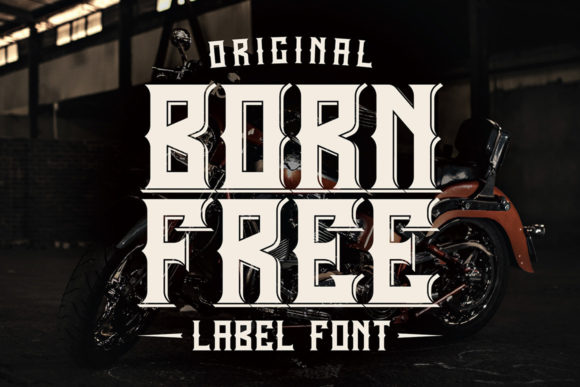 Born Free: Unleash Retro Boldness in Your Designs